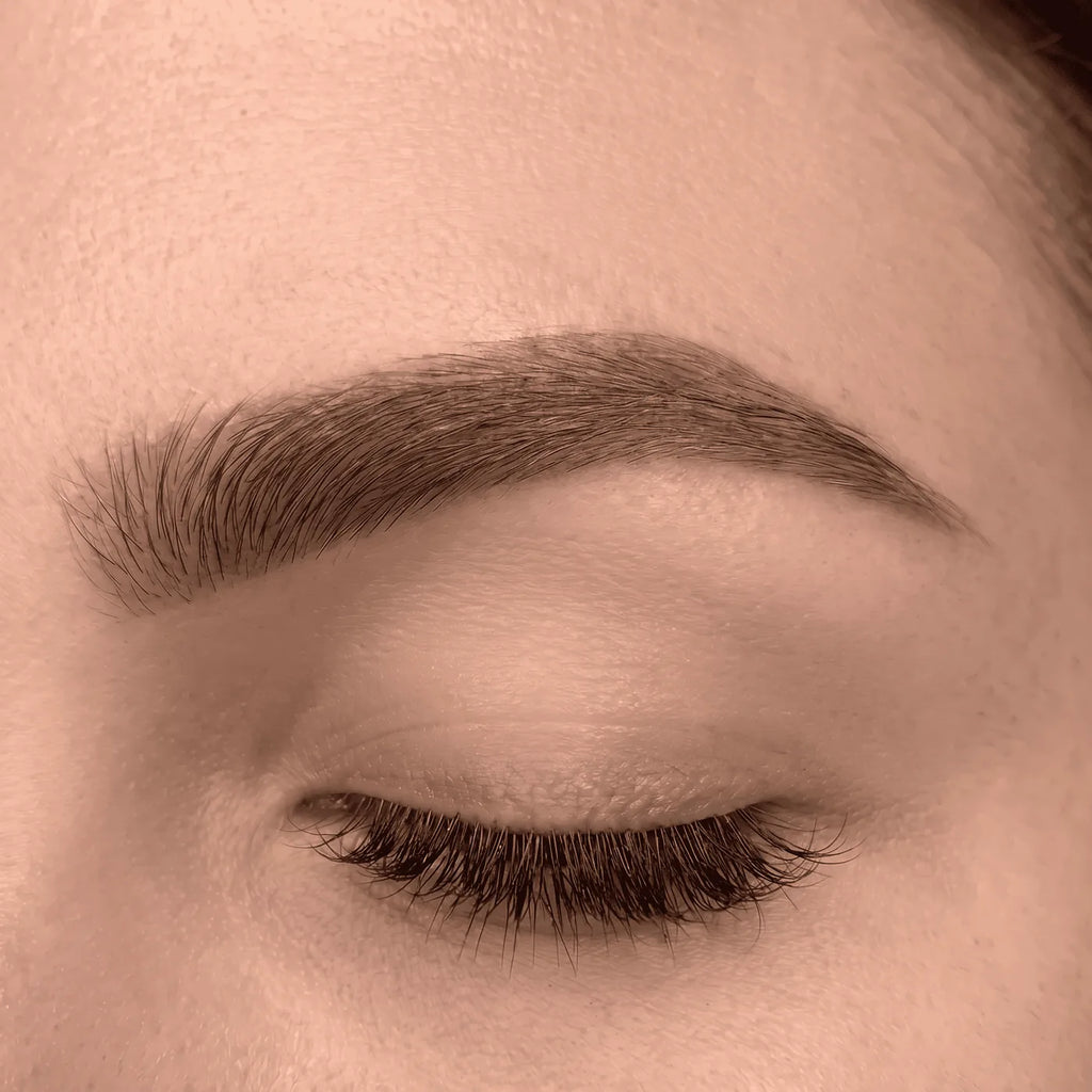 OÛ - Defined Brows kit