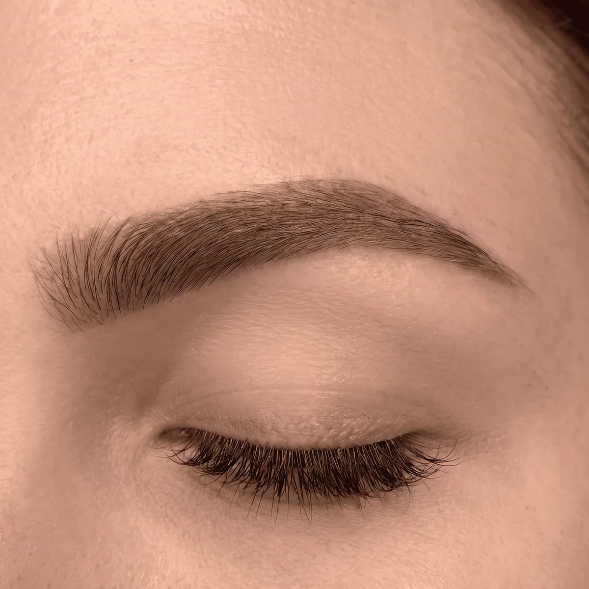 OÛ - Defined Brows kit