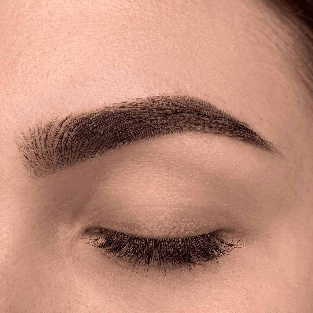 OÛ - Defined Brows kit