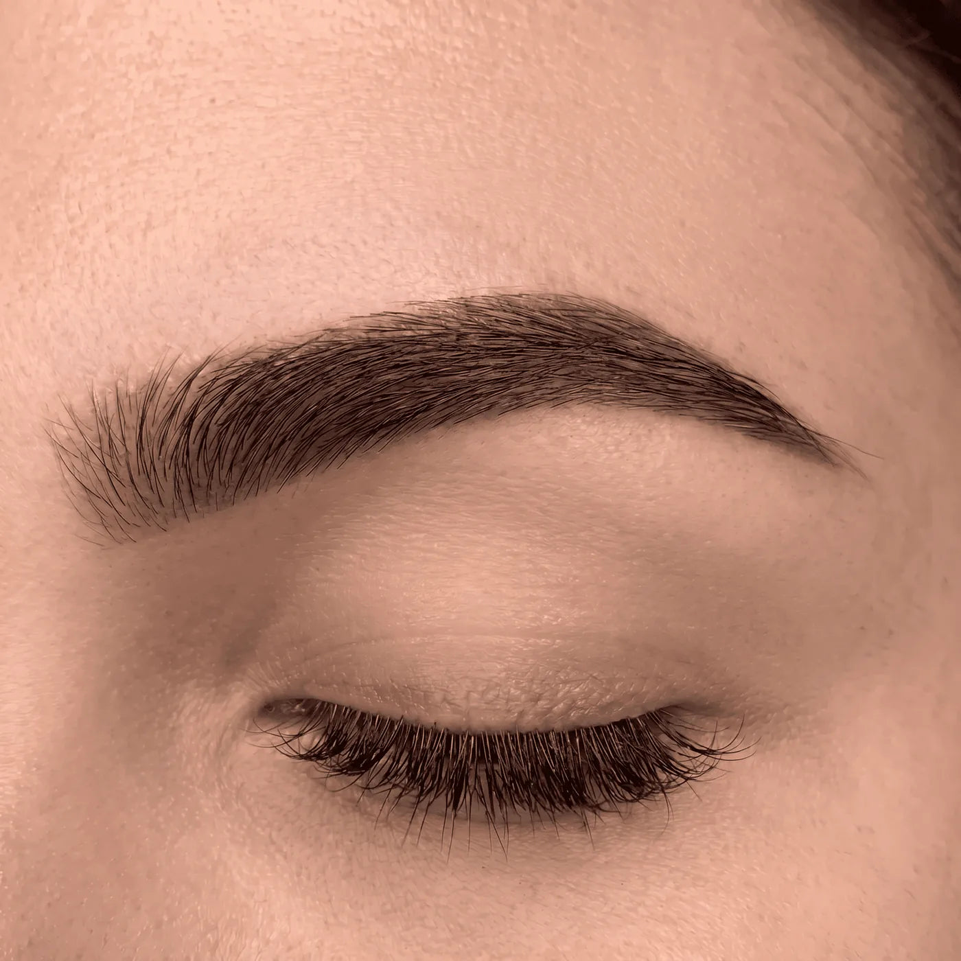 OÛ - Defined Brows kit